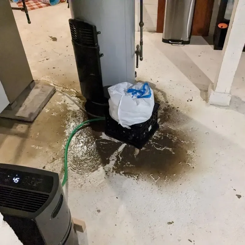 Sewage Backup Cleanup Service in Barberton, WA
